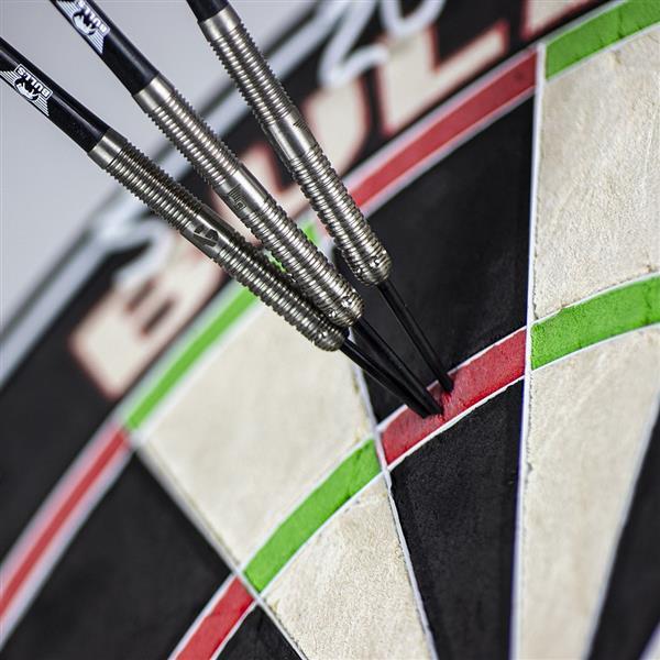 Bulls NL - Adam Gawlas E2 - Steeldart